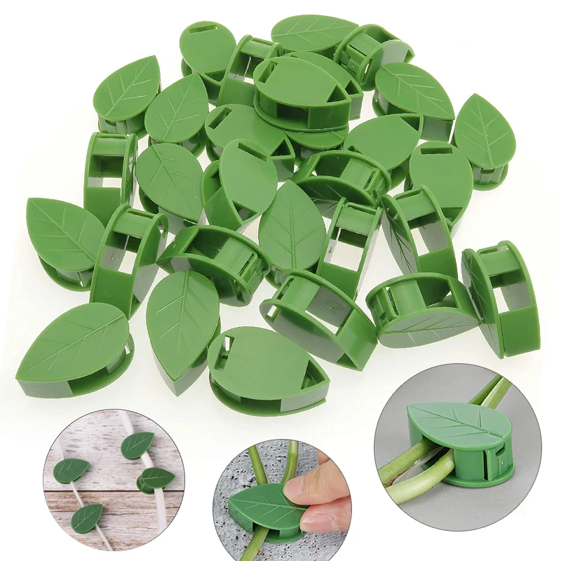 1-50Pcs invisible plant wall c - Plant Parent review and price