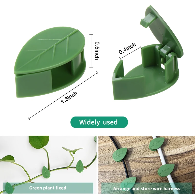 1-50Pcs invisible plant wall c - Plant Parent review and price