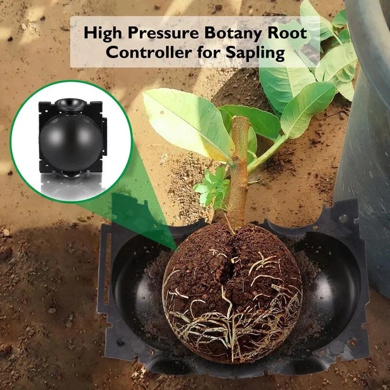 5/30Pcs Plant Rooting Ball Gra - Plant Parent review and price