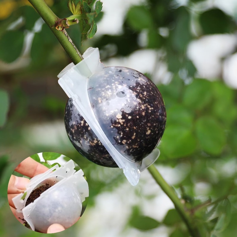 5/30Pcs Plant Rooting Ball Gra - Plant Parent review and price