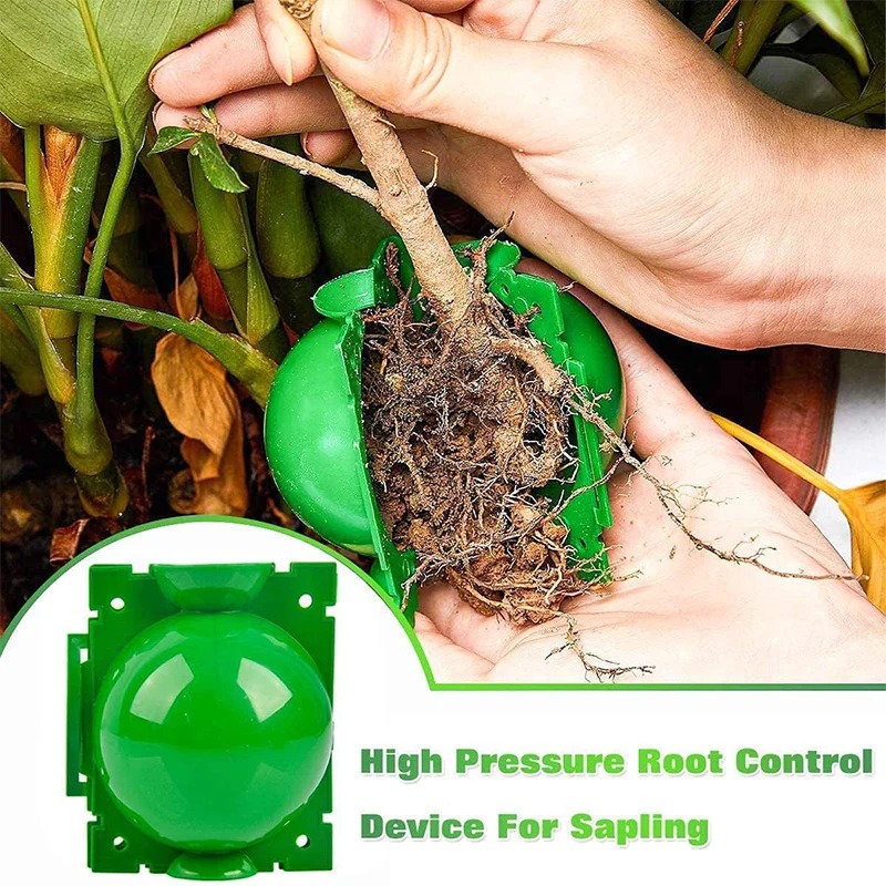 5/30Pcs Plant Rooting Ball Gra - Plant Parent review and price