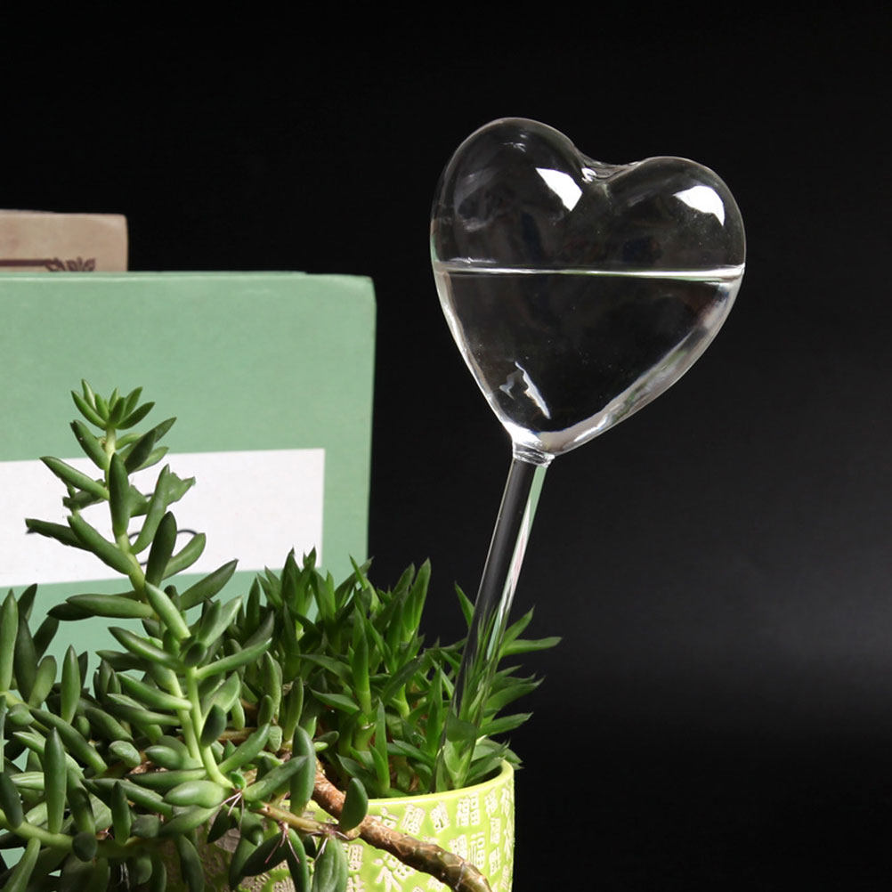 3Pcs Heart Shaped Glass Self W - Plant Parent review and price