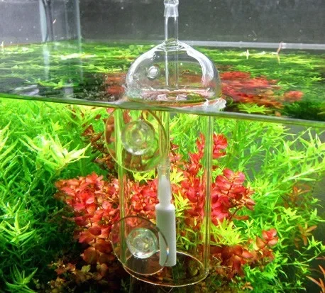 VIV Do Device Aquarium Cylinde - Plant Parent review and price
